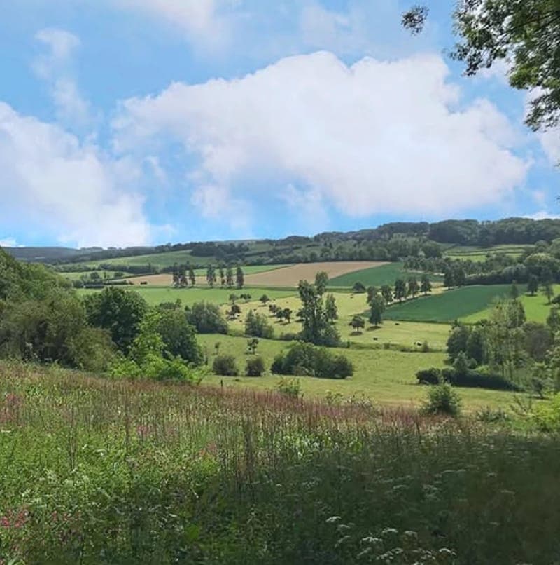 Paysage des collines ardennaises