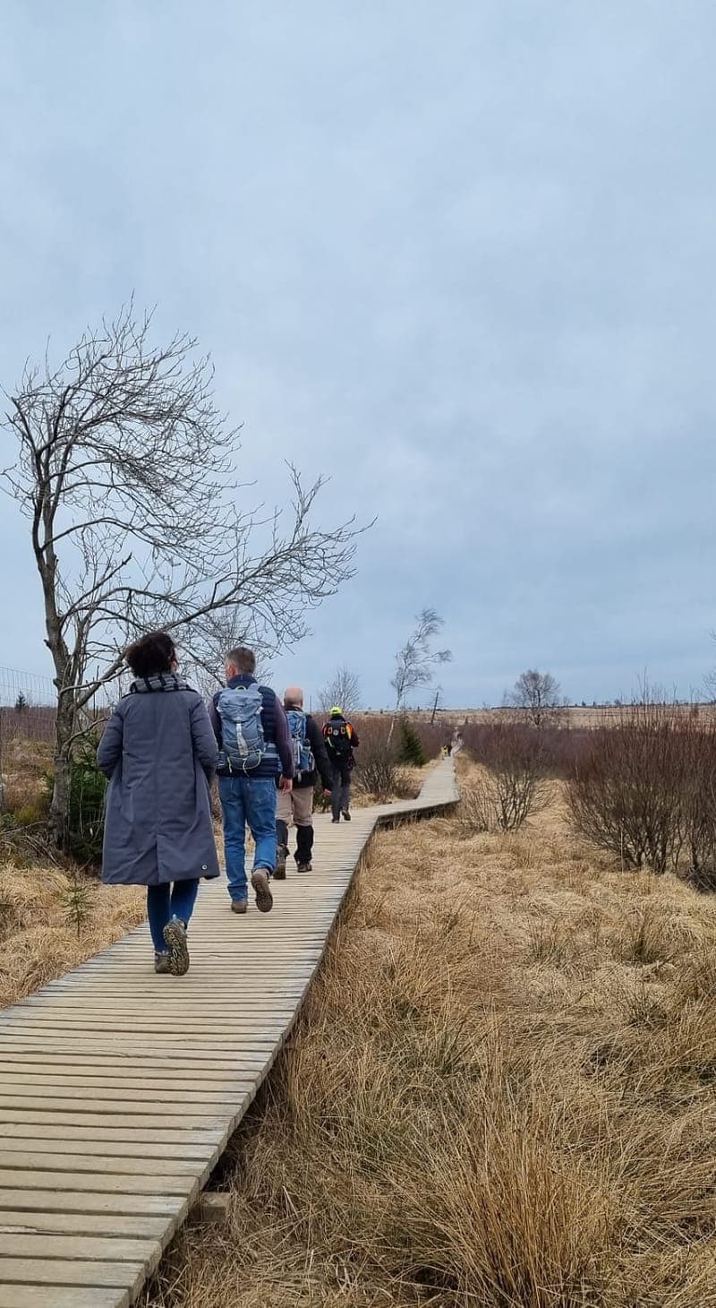 Randonnée sur les passerelles des fagnes