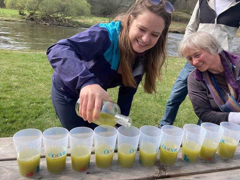Service de jus vert frais en extérieur
